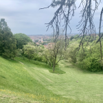 Parco Colombare Segala Zanotto Tocatì Giochi Antichi Verde Aprile 2022-min 3