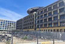 Aoui, in bici al lavoro e arriva un albero con il nome del dipendente