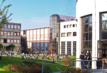 Le lauree in lingue aprono le porte al lavoro: tutti occupati dopo cinque anni