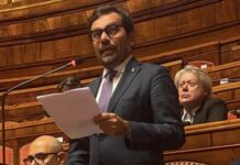 Vandalismi in piazza, Gelmetti: «Chi organizza garantisca i danni»