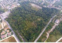 Cava Speziala, verso il Parco della biodiversità: 19 ettari e 30 mila alberi