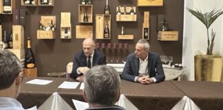 Locazioni turistiche, 13 imprenditori fanno ricorso al Tar contro la Variante 70